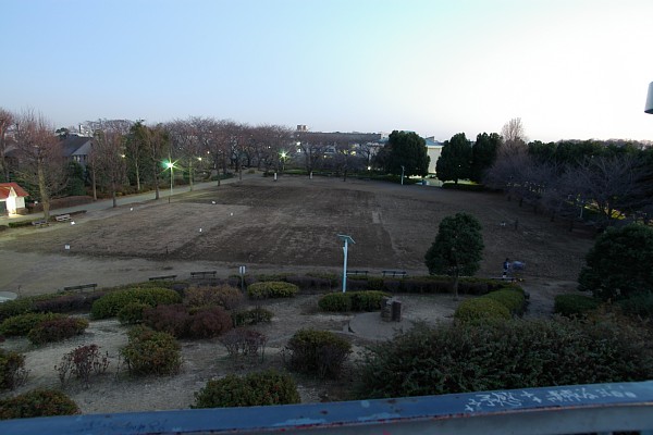 a0030792_2034228.jpg