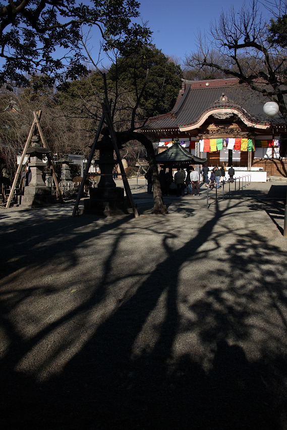 元旦前の深大寺_a0048904_1510283.jpg