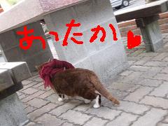 c0072306_050189.jpg