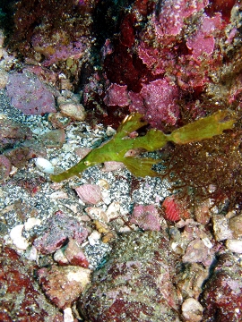 c0072306_052343.jpg