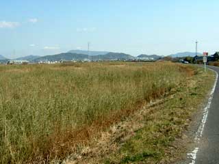 a0054016_188283.jpg