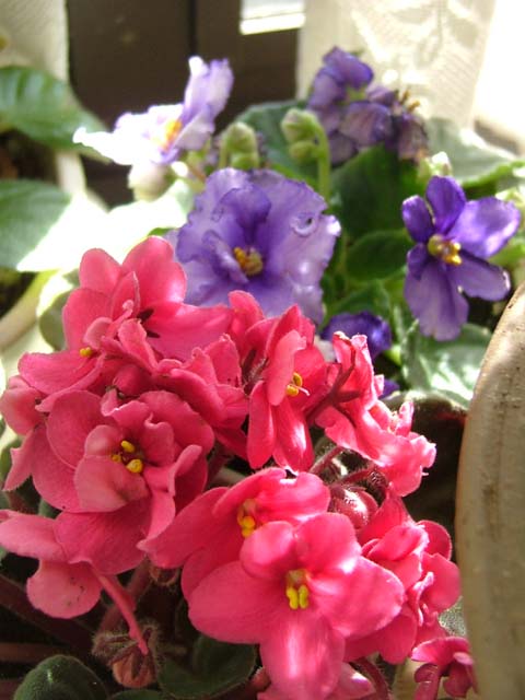 c0045227_17495252.jpg