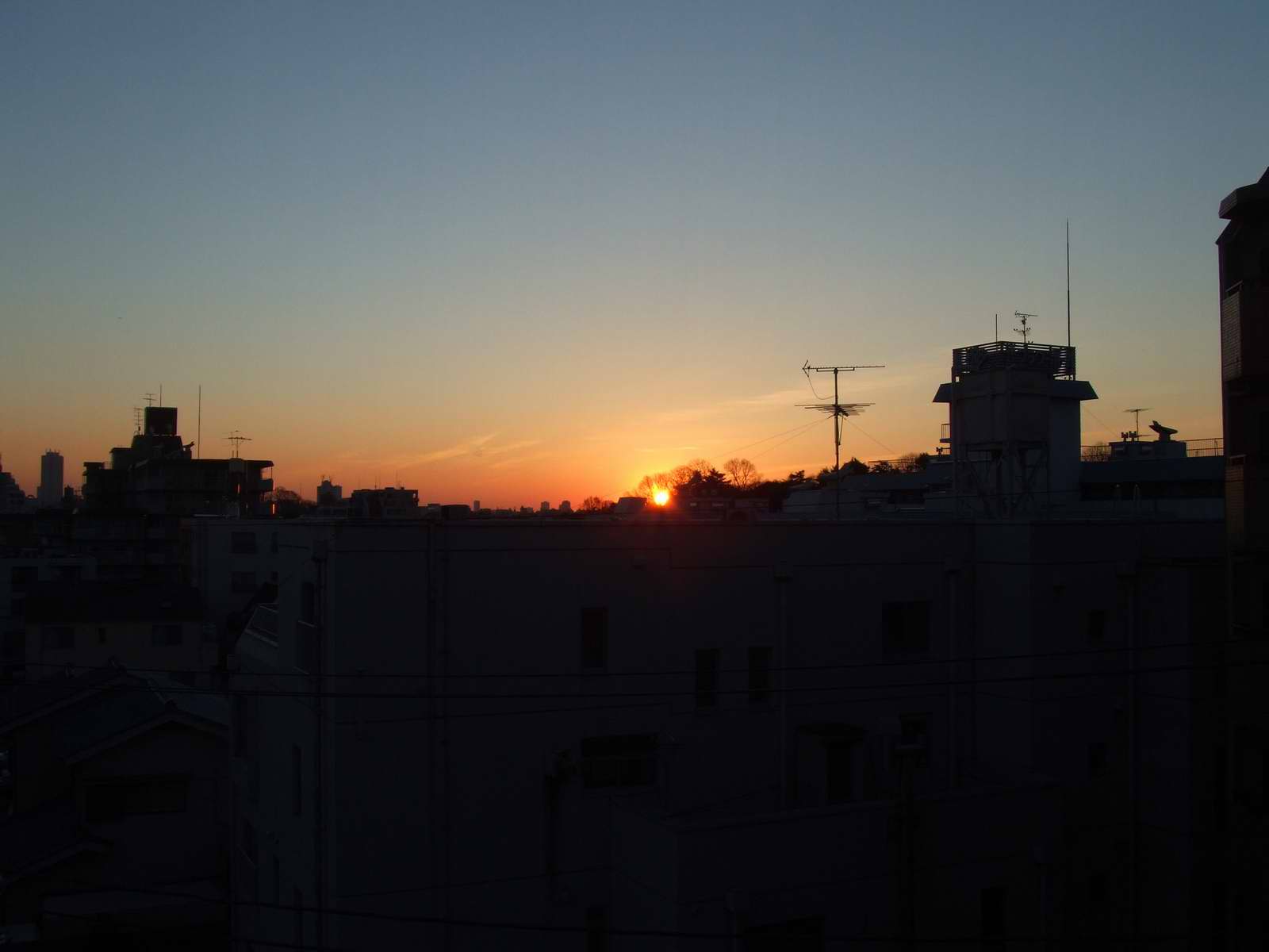 d0004728_94098.jpg