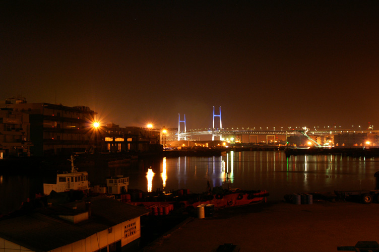 b0031237_18487.jpg