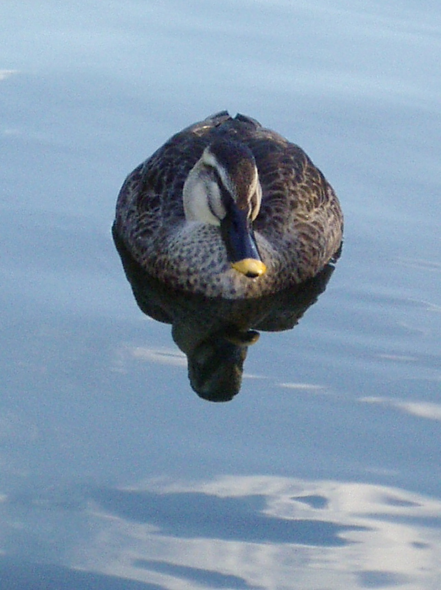 e0064158_022192.jpg