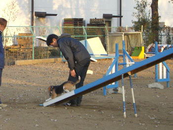e0007060_0184329.jpg