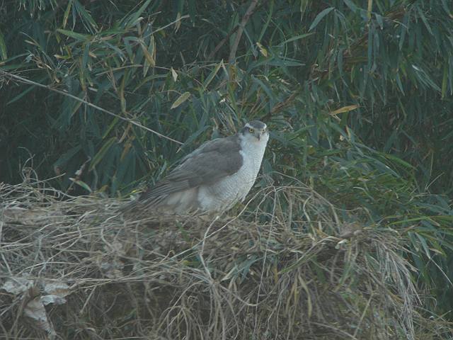 a0052080_14392940.jpg