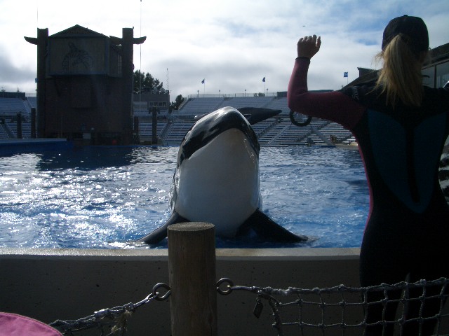 San Diego_c0024385_735062.jpg