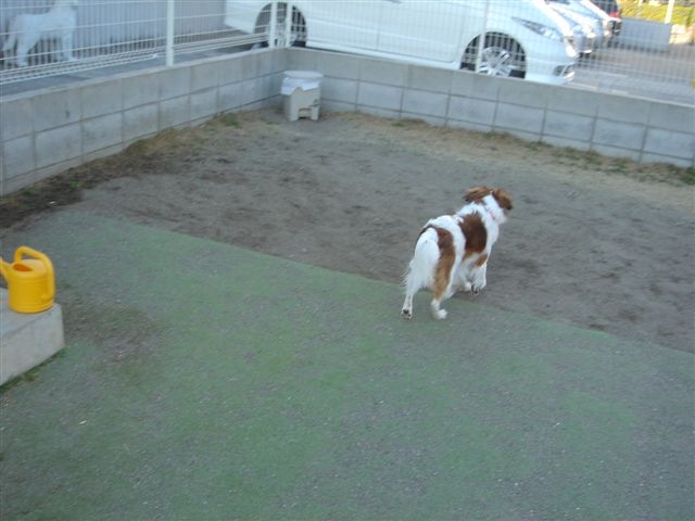 c0075585_0423270.jpg