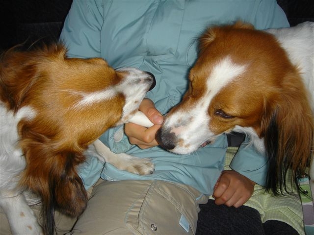 c0075585_0471445.jpg