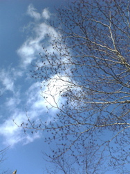 よいお年を。_d0028589_12263320.jpg