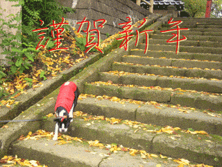 e0080117_2092940.gif