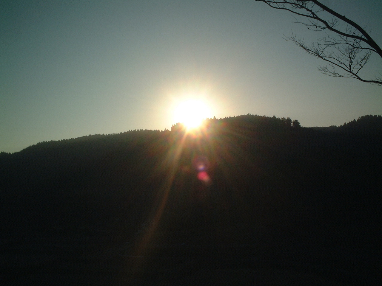 b0009222_20412247.jpg