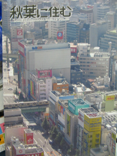 a0007635_2051314.jpg