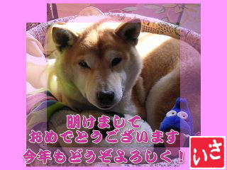 おめでとうございます!_c0049950_028355.jpg