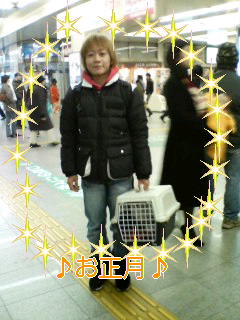2006年1月1日_c0075155_1932910.jpg