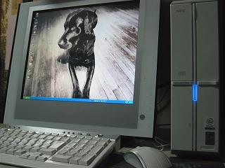 a0041508_2313146.jpg