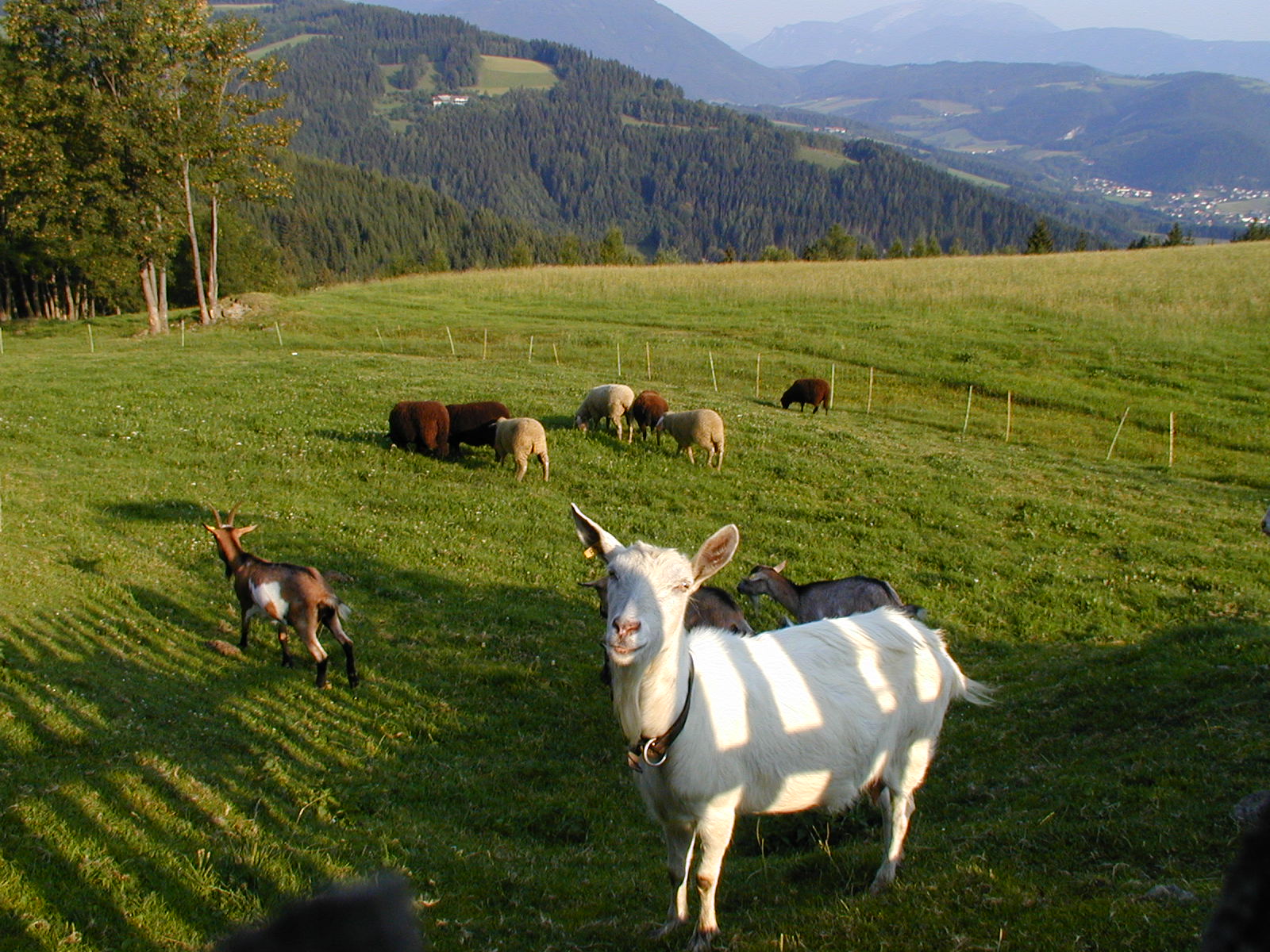 e0025919_17271857.jpg
