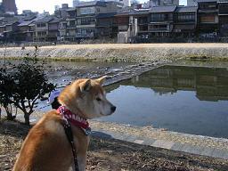 きょうは写真がいっぱい!_c0049950_23552950.jpg
