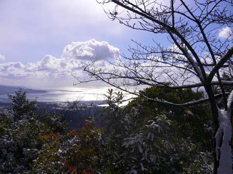 第2日目(12/18）神峯寺入口～第27番札所（神峯寺）－神峯寺入口_e0043591_444525.jpg