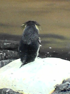 c0052600_23444041.jpg