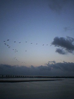 d0023418_11444.jpg