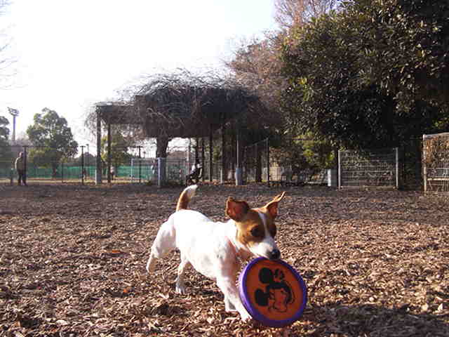c0035931_22582779.jpg