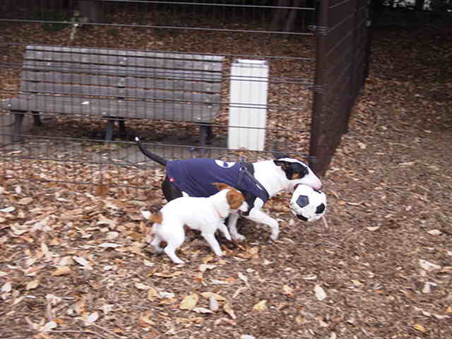 c0035931_2364776.jpg