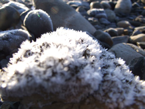 d0035436_22267.jpg