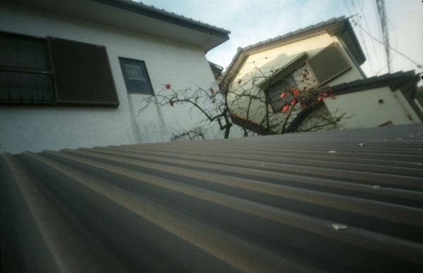d0068664_14434880.jpg