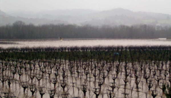 New Year\'s Flood in Sonoma/Napa_f0007498_8213697.jpg