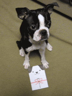 e0080117_1958310.gif