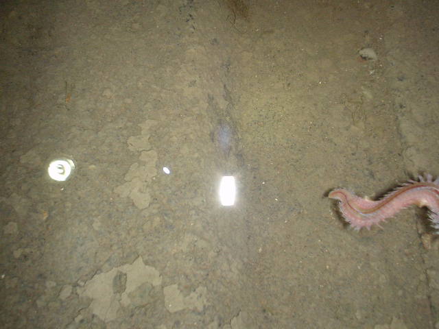 a0041128_0244537.jpg