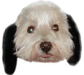 f0034444_20414548.gif