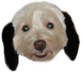 f0034444_20422616.gif