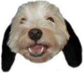 f0034444_20425245.gif