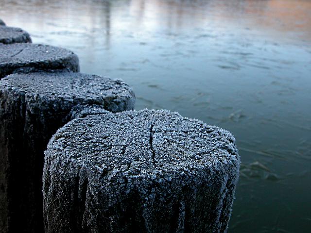 a0044076_11154657.jpg