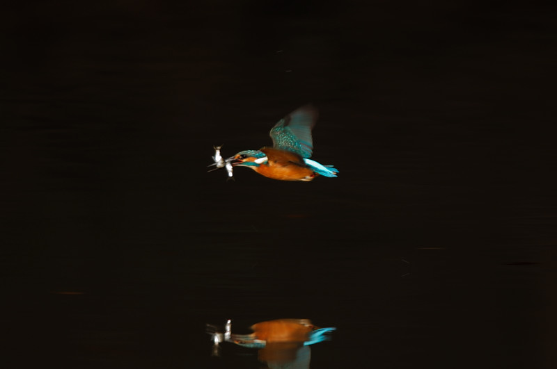 c0008378_22502.jpg