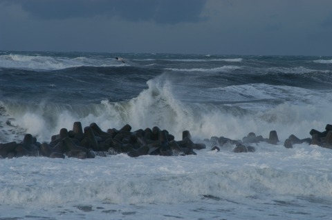 浪の華_e0082981_2124482.jpg