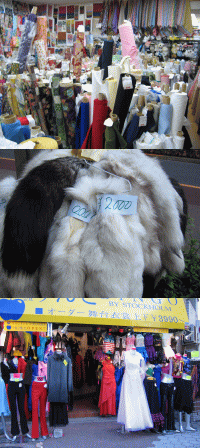 d0014408_2338393.gif