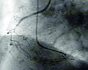 a0055913_20232593.jpg
