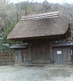 d0065116_17464376.jpg