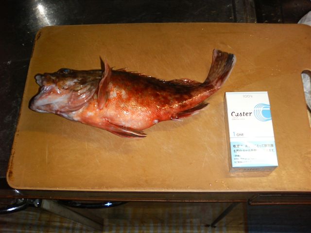 e0069622_847722.jpg