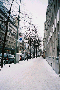 d0002224_22474875.jpg