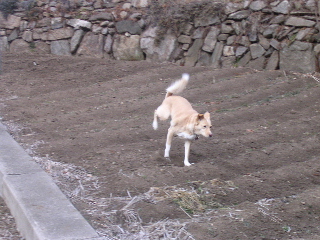 c0065643_20221418.jpg