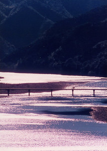 a0050444_6222217.jpg