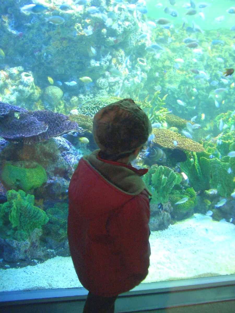 f0017462_1581037.jpg