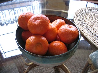 b0034565_2113993.jpg