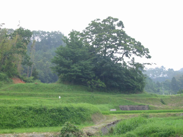e0052074_12374459.jpg