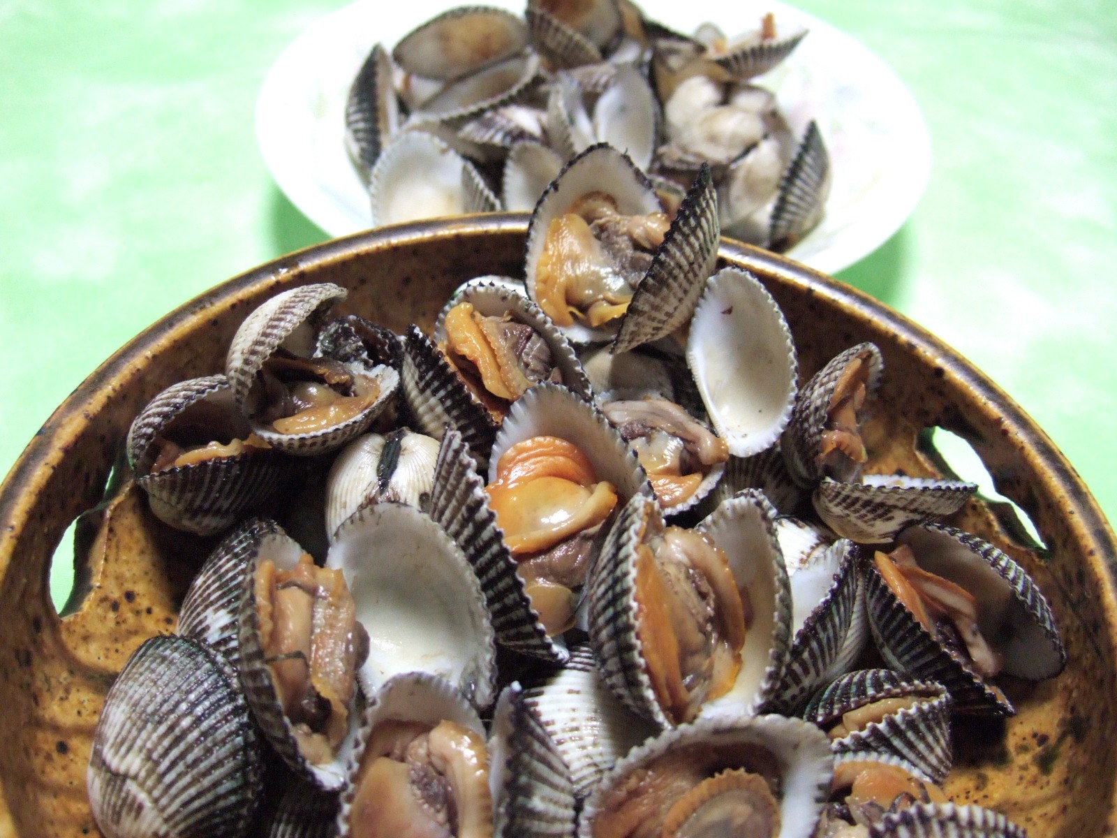 赤貝 飲食万歳